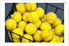Tennis Balls in Basket by Anonymous