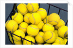 Tennis Balls in Basket by Anonymous