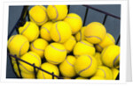 Tennis Balls in Basket by Anonymous