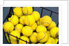 Tennis Balls in Basket by Anonymous