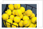 Tennis Balls in Basket by Anonymous