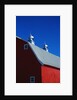 Roof on a Large Red Barn by Anonymous
