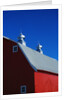 Roof on a Large Red Barn by Anonymous