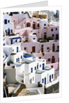 Hillside Buildings on Santorini by Anonymous