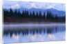 Alaskan Range Reflected in Wonder Lake by Anonymous