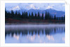 Alaskan Range Reflected in Wonder Lake by Anonymous