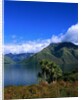 Lake Wakatipu and Mount Hector by Anonymous