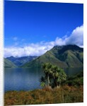 Lake Wakatipu and Mount Hector by Anonymous