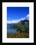 Lake Wakatipu and Mount Hector by Anonymous