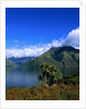 Lake Wakatipu and Mount Hector by Anonymous