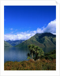 Lake Wakatipu and Mount Hector by Anonymous