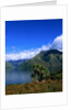 Lake Wakatipu and Mount Hector by Anonymous