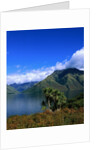 Lake Wakatipu and Mount Hector by Anonymous