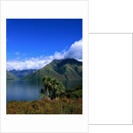 Lake Wakatipu and Mount Hector by Anonymous