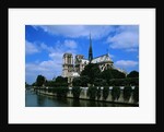 Cathedral of Notre Dame and the Seine by Anonymous