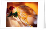 Maracas and Sombrero by Anonymous