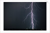 Lightning from Brown Clouds by Anonymous