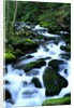 River Cascading Down Moss-Covered Rocks by Anonymous