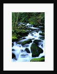 River Cascading Down Moss-Covered Rocks by Anonymous