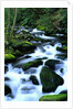 River Cascading Down Moss-Covered Rocks by Anonymous