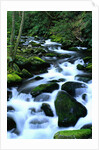River Cascading Down Moss-Covered Rocks by Anonymous