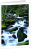 River Cascading Down Moss-Covered Rocks by Anonymous