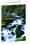 River Cascading Down Moss-Covered Rocks by Anonymous