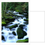 River Cascading Down Moss-Covered Rocks by Anonymous