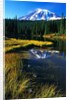 Mount Rainier and Reflection Lakes by Anonymous