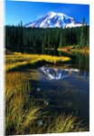 Mount Rainier and Reflection Lakes by Anonymous