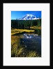 Mount Rainier and Reflection Lakes by Anonymous