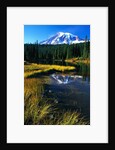 Mount Rainier and Reflection Lakes by Anonymous