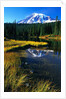 Mount Rainier and Reflection Lakes by Anonymous