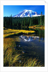Mount Rainier and Reflection Lakes by Anonymous