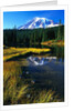 Mount Rainier and Reflection Lakes by Anonymous