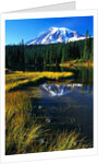 Mount Rainier and Reflection Lakes by Anonymous