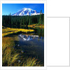 Mount Rainier and Reflection Lakes by Anonymous