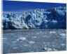 Margerie Glacier by Anonymous