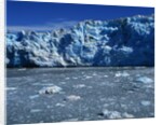Margerie Glacier by Anonymous