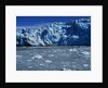 Margerie Glacier by Anonymous