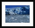 Margerie Glacier by Anonymous
