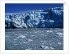 Margerie Glacier by Anonymous