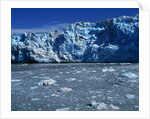 Margerie Glacier by Anonymous