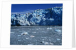 Margerie Glacier by Anonymous