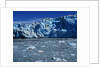 Margerie Glacier by Anonymous