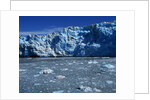 Margerie Glacier by Anonymous