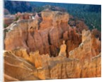 Bryce Canyon from Inspiration Point by Anonymous