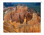Bryce Canyon from Inspiration Point by Anonymous