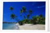 Palm Trees Growing at Beach by Anonymous