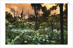 El Yunque Rainforest by Anonymous